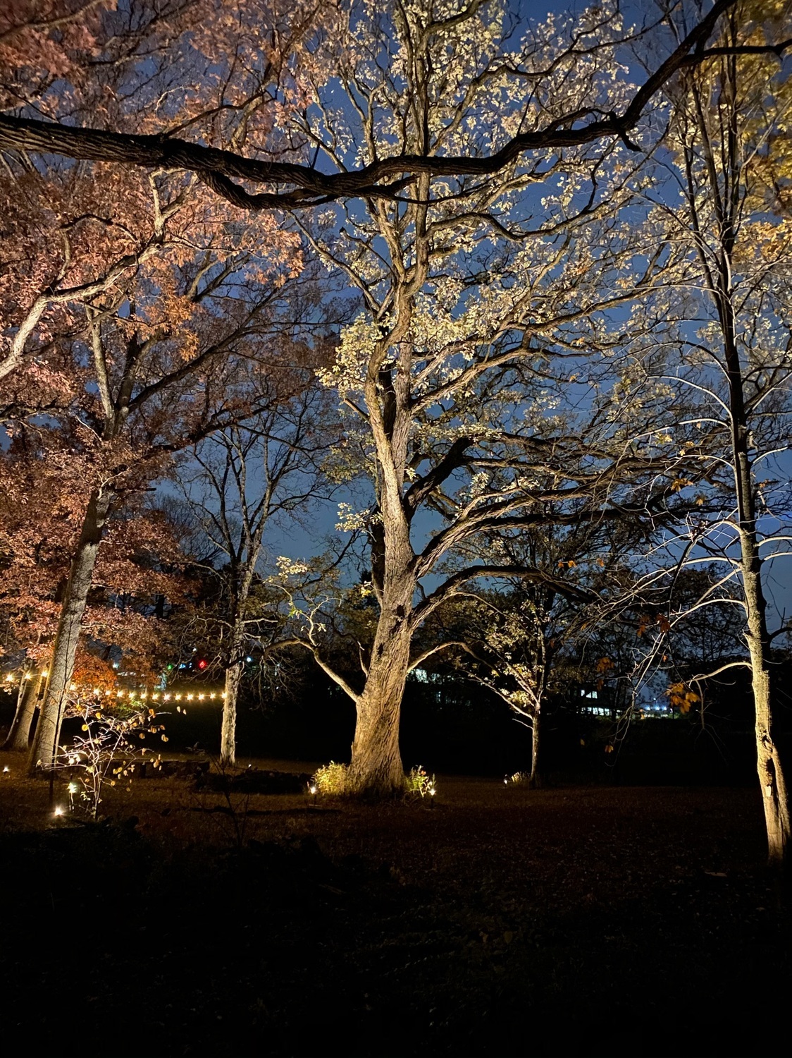 color changing landscape lighting bon air va